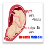 Logo of Hafta Hafta Hamilelikte Bebeğiniz android Application 